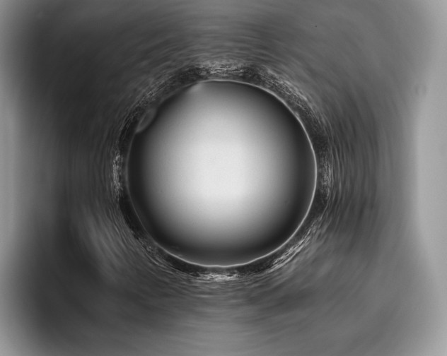 X0000096191346200801181312