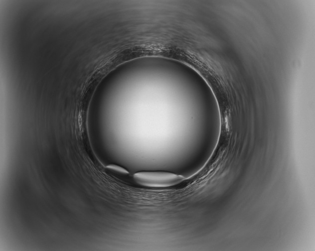 X0000096191347200801181312