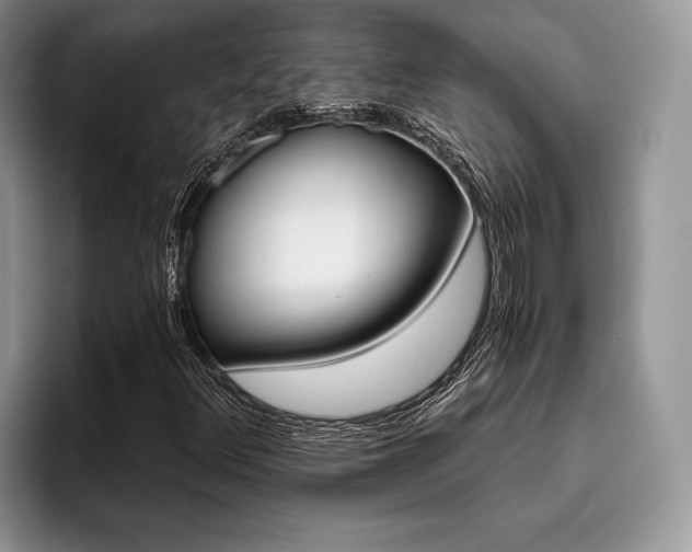 X0000096191348200801181312