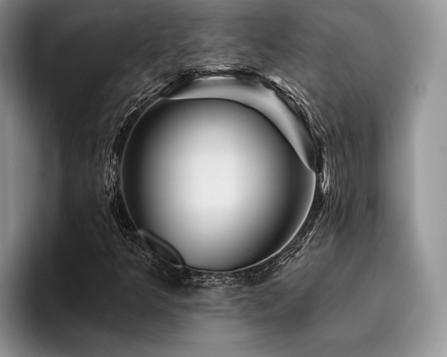 X0000096191349200801181312