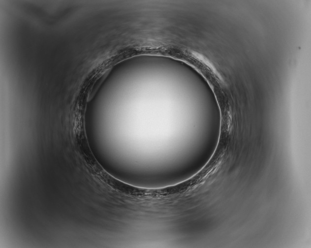 X0000096191350200801181312