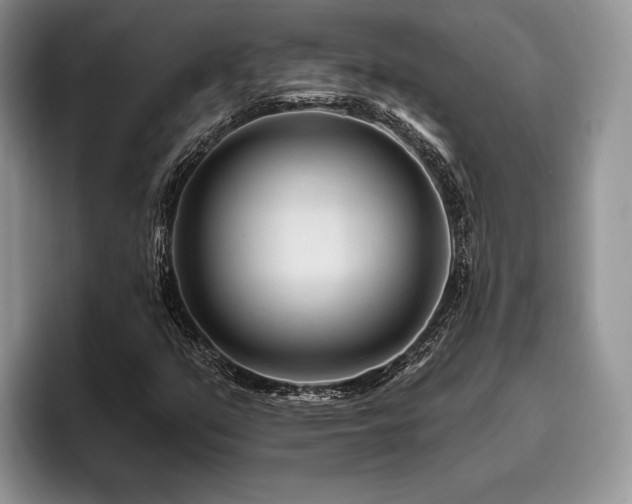 X0000096191351200801181312