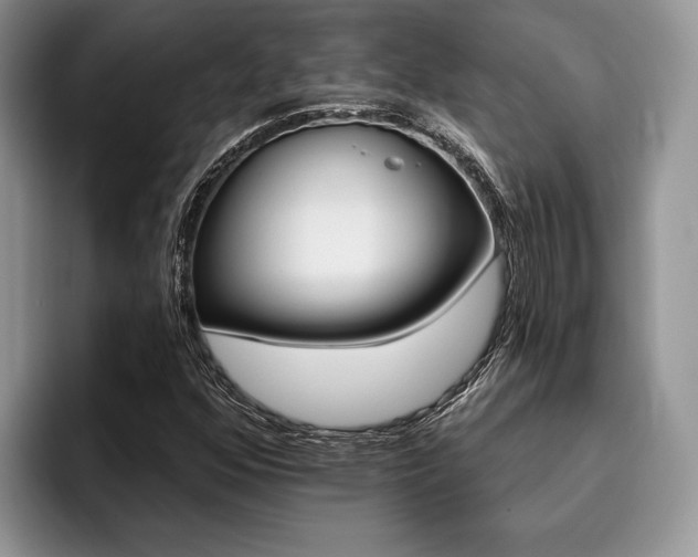X0000096191352200801181312
