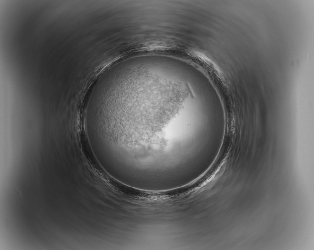 X0000096191353200801181312