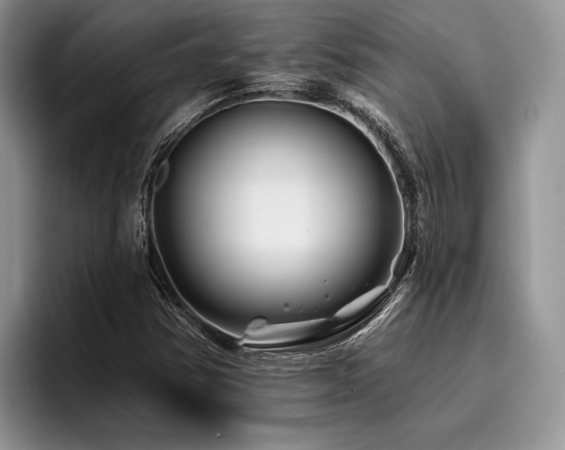 X0000096191354200801181312