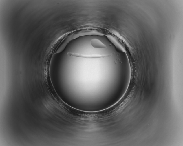 X0000096191355200801181312