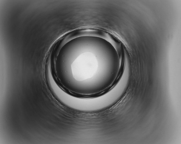 X0000096191356200801181312