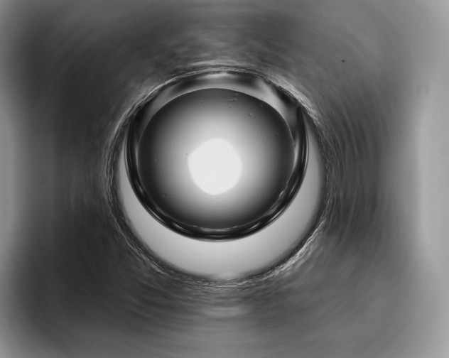 X0000096191357200801181312