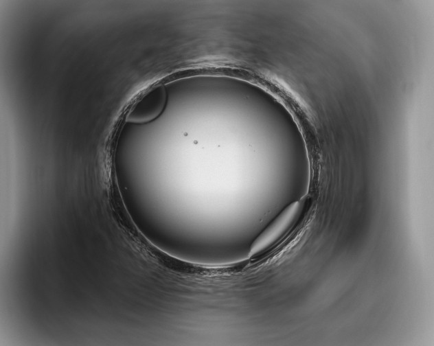 X0000096191358200801181312