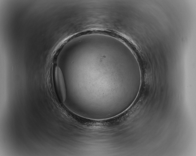 X0000096191359200801181312