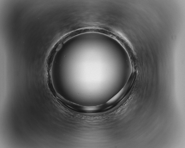 X0000096191360200801181312