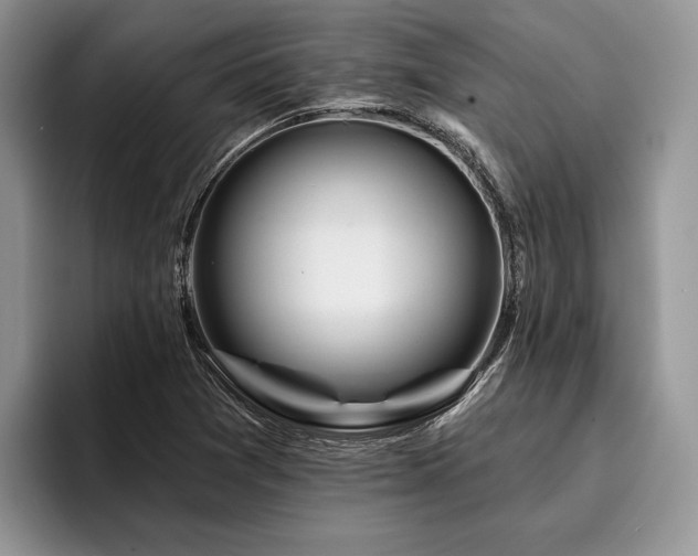 X0000096191361200801181312