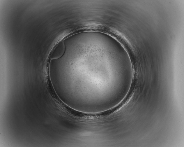 X0000096191362200801181312