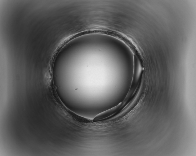 X0000096191363200801181312