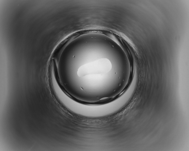 X0000096191364200801181312