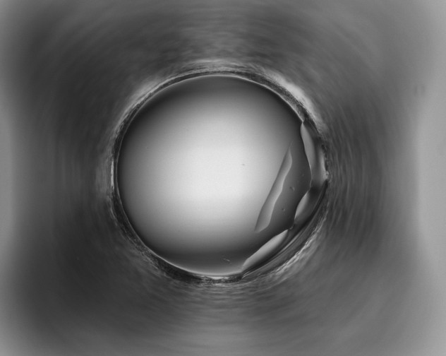 X0000096191365200801181312
