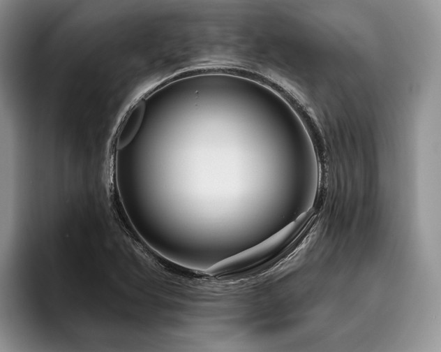 X0000096191366200801181312