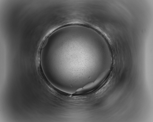 X0000096191367200801181312