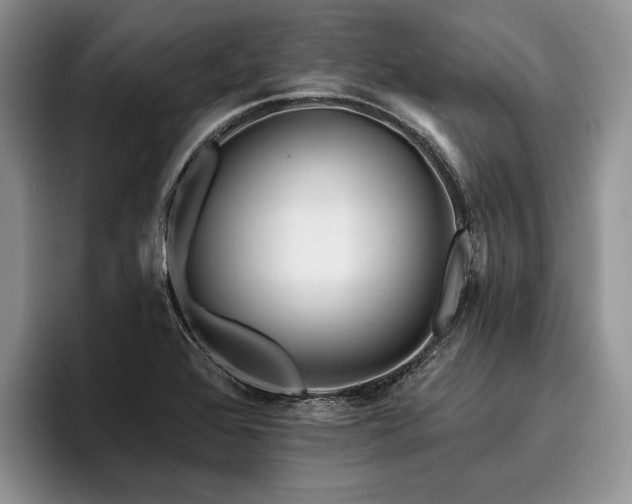 X0000096191368200801181312