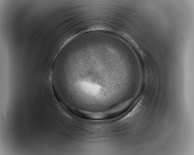 X0000096191369200801181312