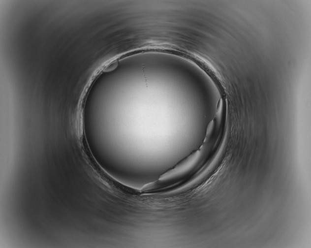 X0000096191371200801181312