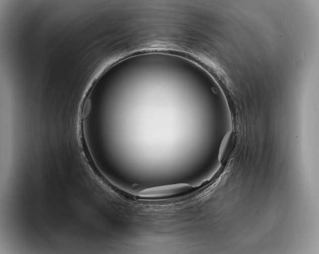 X0000096191374200801181312