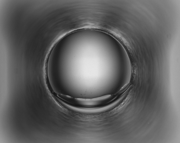 X0000096191375200801181312