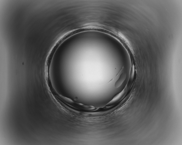 X0000096191376200801181312