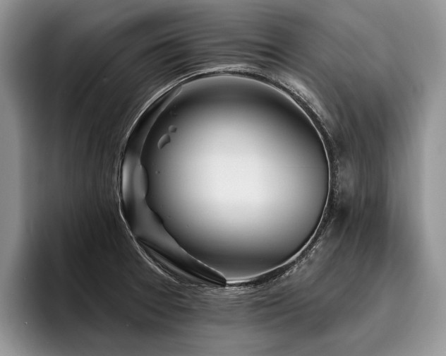 X0000096191377200801181312