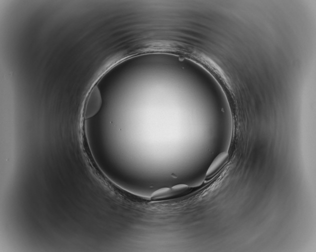X0000096191378200801181312