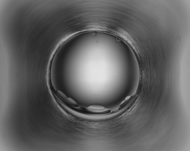 X0000096191379200801181312