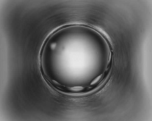 X0000096191380200801181312