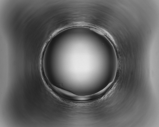 X0000096191381200801181312