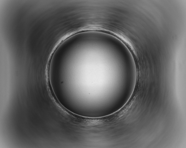 X0000096191382200801181312