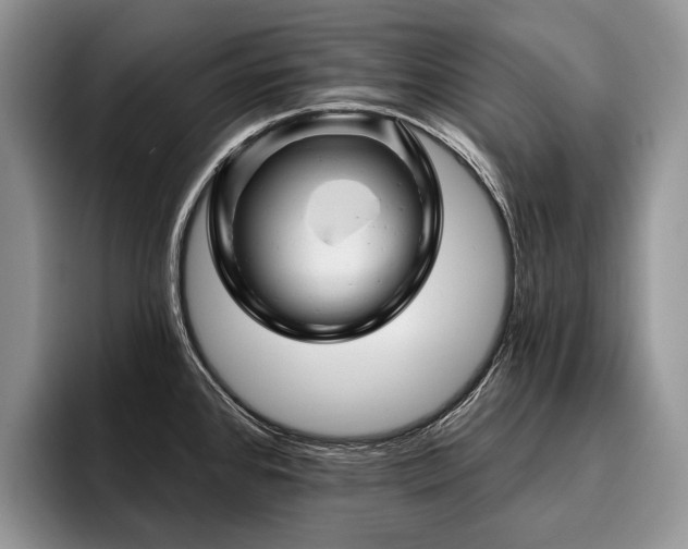 X0000096191384200801181312