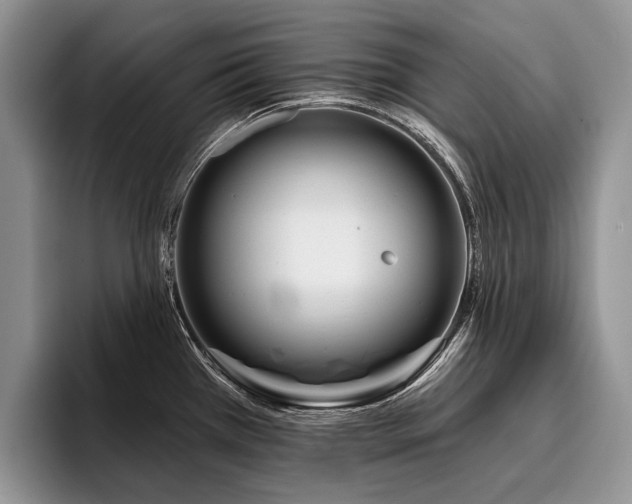 X0000096191385200801181312