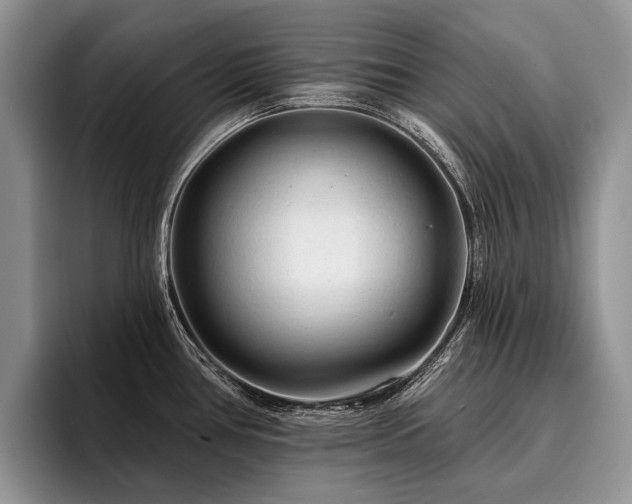 X0000096191386200801181312