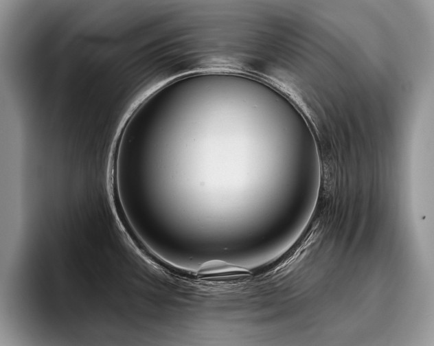 X0000096191387200801181312