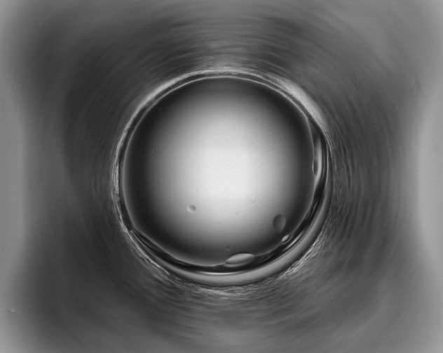 X0000096191388200801181312