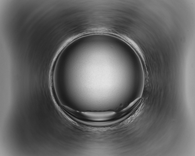 X0000096191389200801181312