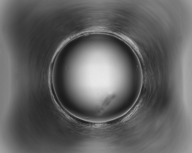 X0000096191390200801181312