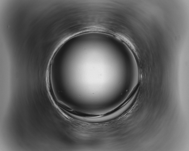 X0000096191391200801181312
