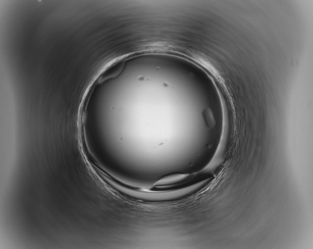 X0000096191392200801181312