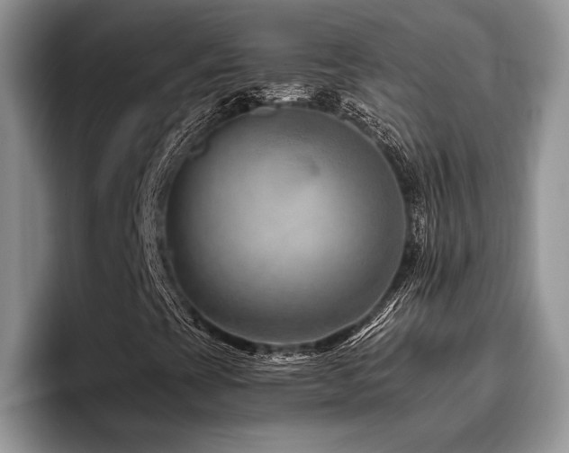 X0000096191393200801181311