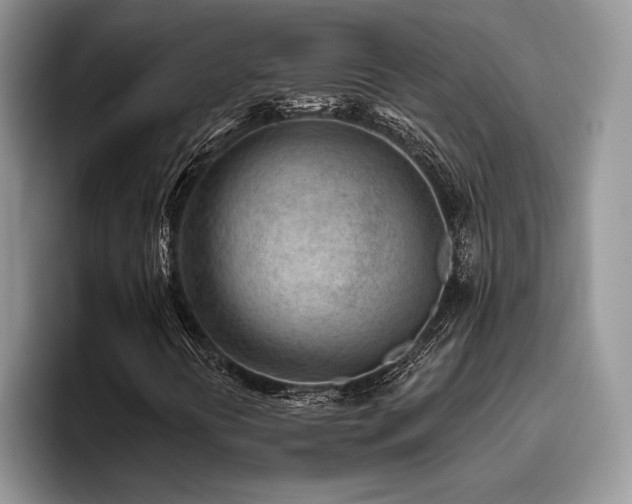 X0000096191394200801181311