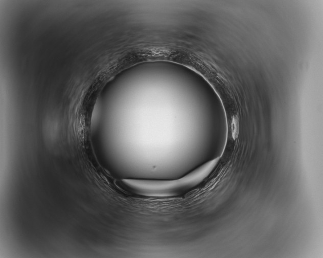 X0000096191395200801181311