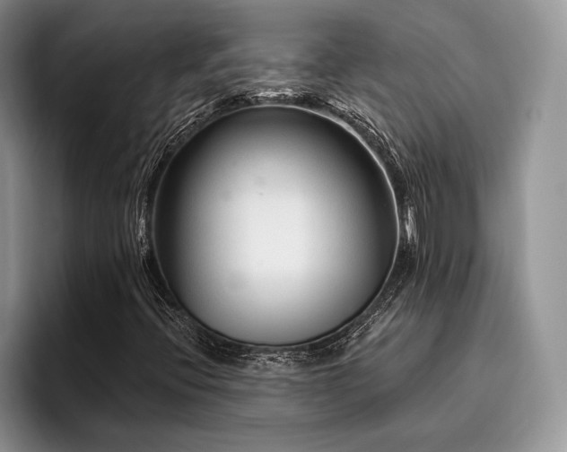 X0000096191396200801181311