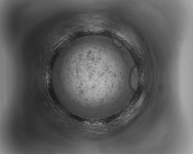 X0000096191397200801181311