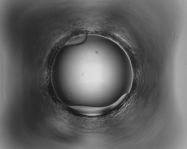 X0000096191398200801181311