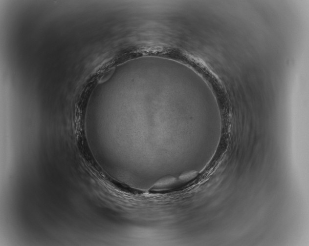 X0000096191399200801181311